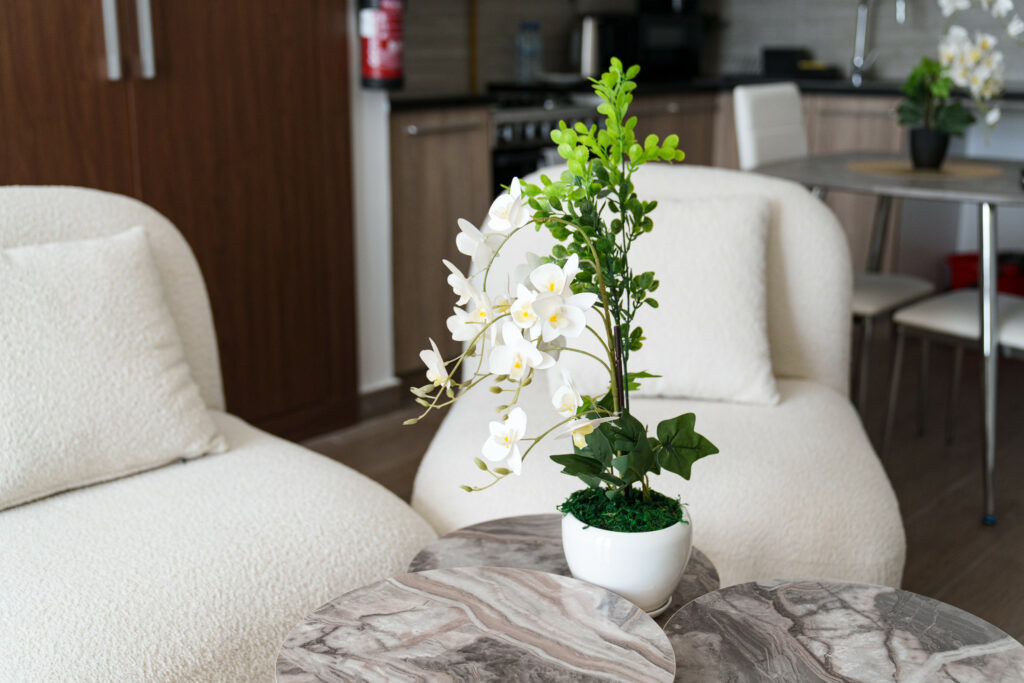 Cosy Studio | Great Amenities | Inviting